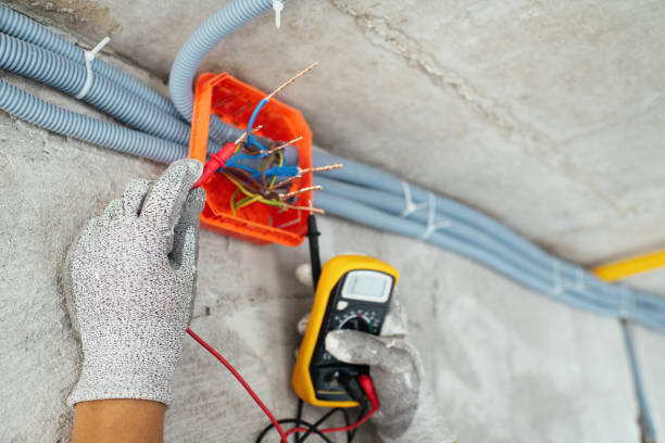 Best Electrical Repair Services  in Wrightwood, CA